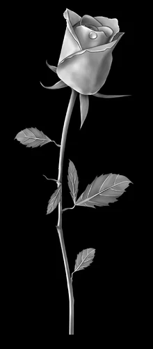 Цветок 018 (роза)